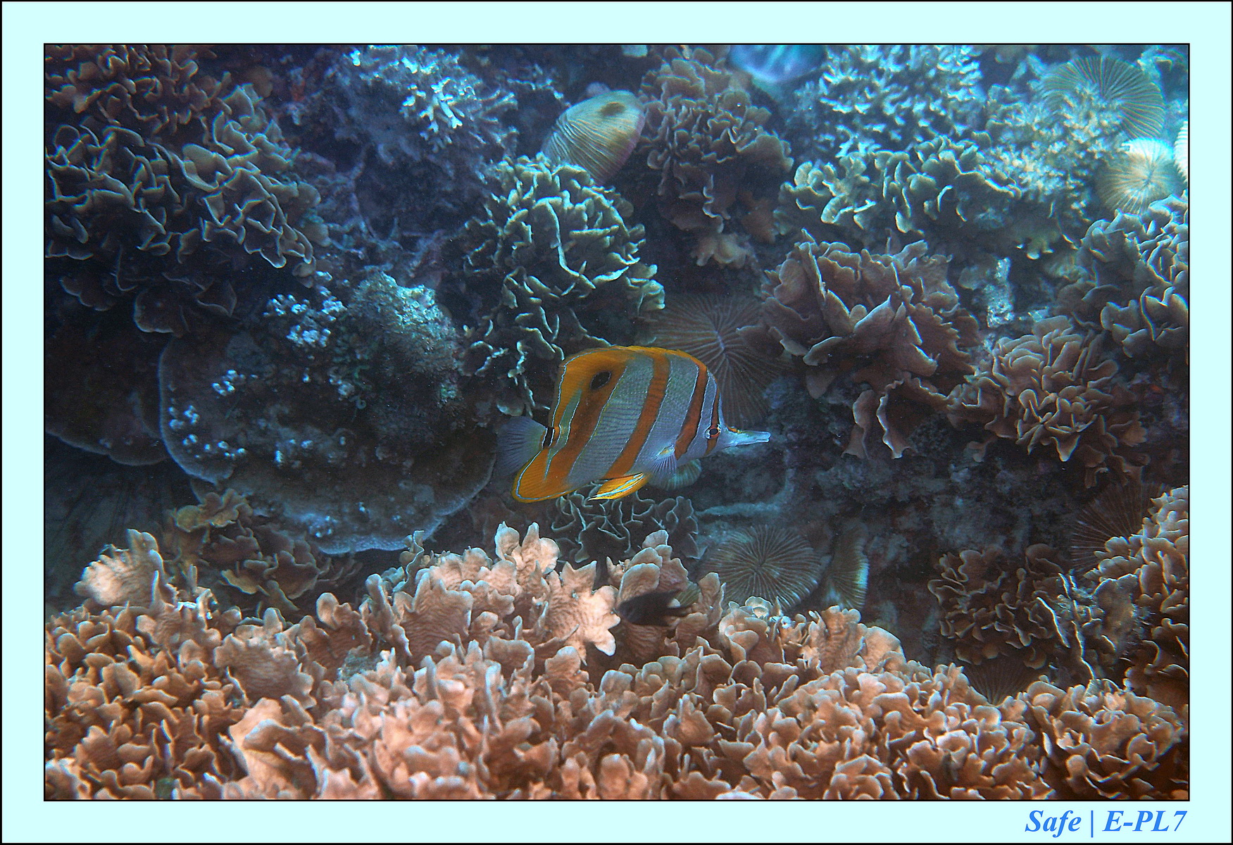 2015   07   Peranthian Islands 16